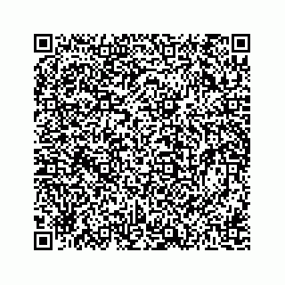 vCard 78162738003