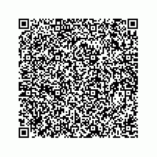 vCard 78162738005