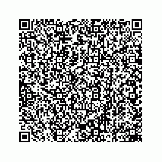 vCard 78162738006