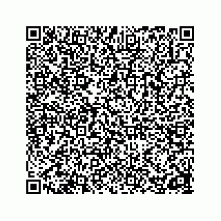 vCard 78162738010