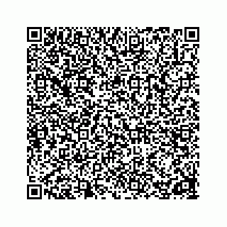 vCard 78162738031