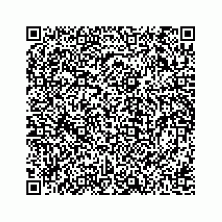 vCard 78162738041