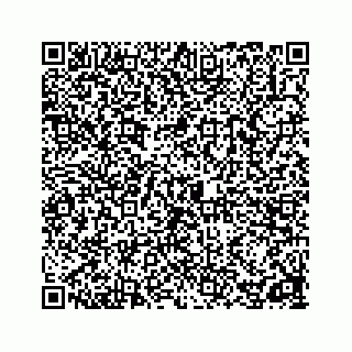 vCard 78162738063