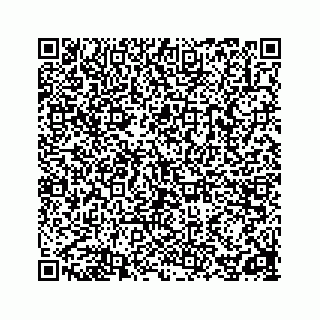 vCard 78162738069