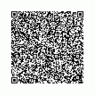 vCard 78162738079
