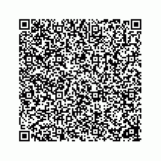 vCard 78162738081