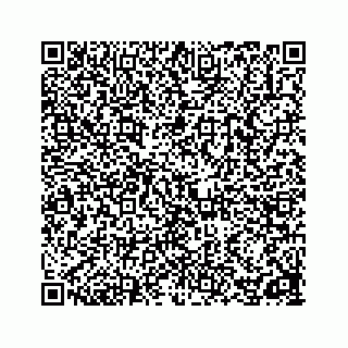 vCard 78162738087
