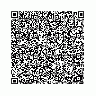 vCard 78162738097