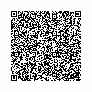 vCard 78162738099