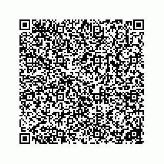 vCard 78162738100