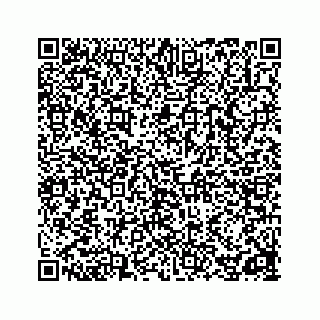 vCard 78162738101