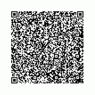 vCard 78162738107