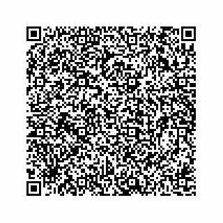 vCard 78162738110