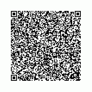 vCard 78162738111