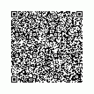 vCard 78162738117