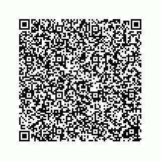 vCard 78162738119