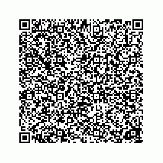 vCard 78162738121