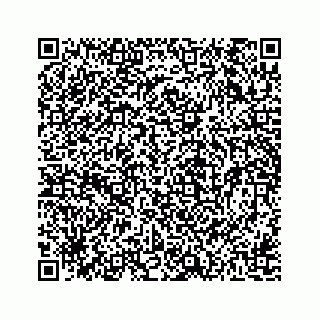 vCard 78162738131