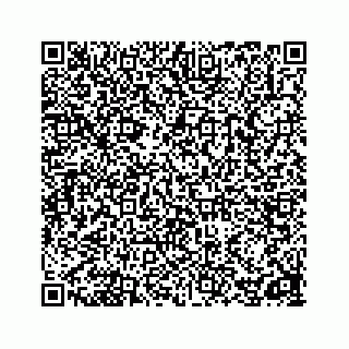 vCard 78162738132