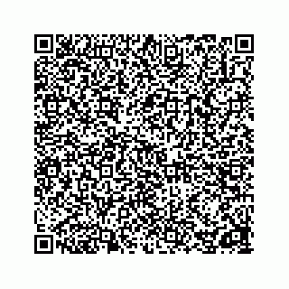 vCard 78162738133