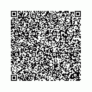 vCard 78162738135