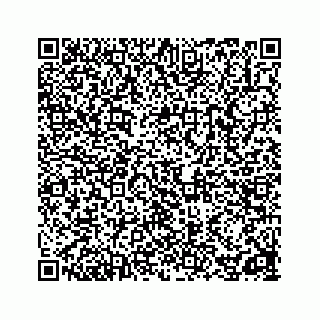 vCard 78162738137