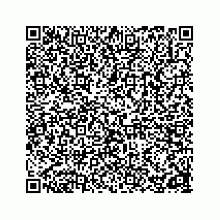vCard 78162738160