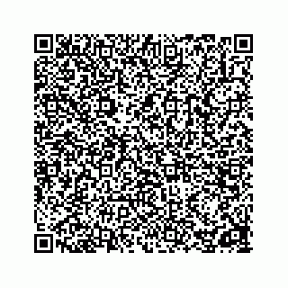 vCard 78162738179