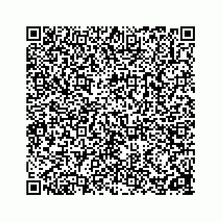 vCard 78162738196