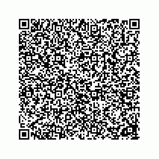 vCard 78162738199