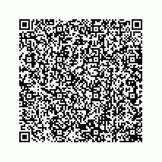 vCard 78162738201