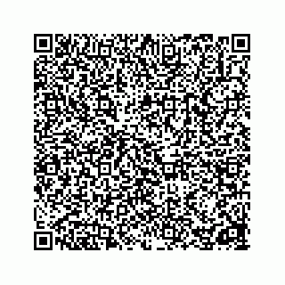 vCard 78162738203