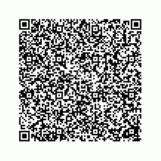 vCard 78162738207