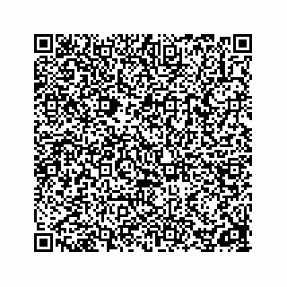 vCard 78162738210