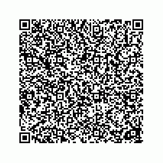 vCard 78162738211