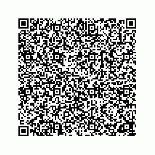 vCard 78162738221