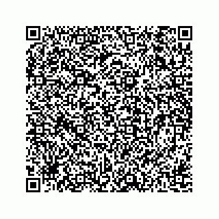 vCard 78162738225