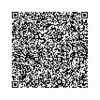 vCard 78162738241