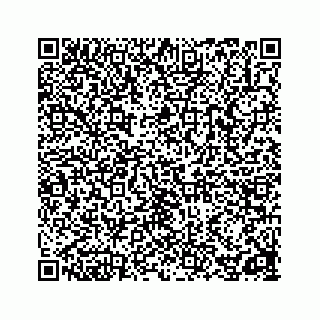 vCard 78162738287