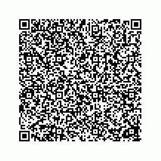 vCard 78162738288
