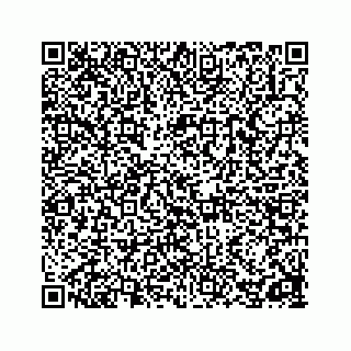 vCard 78162738300