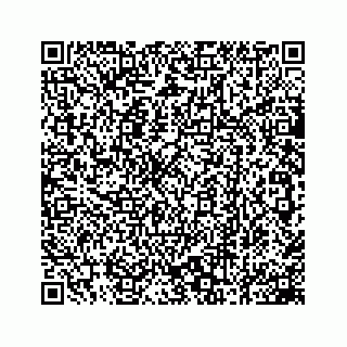 vCard 78162738313