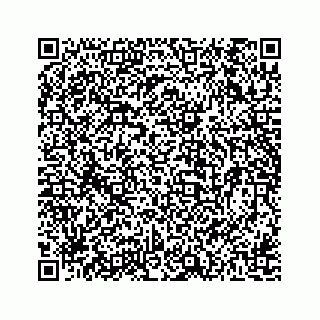 vCard 78162738314