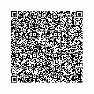 vCard 78162738317