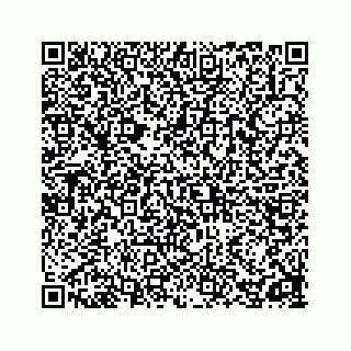 vCard 78162738319