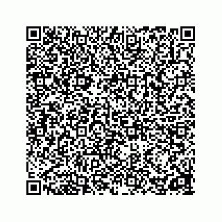 vCard 78162738329