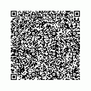 vCard 78162738331