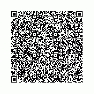 vCard 78162738333