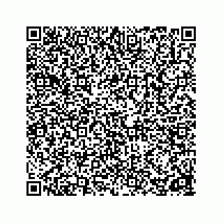 vCard 78162738339