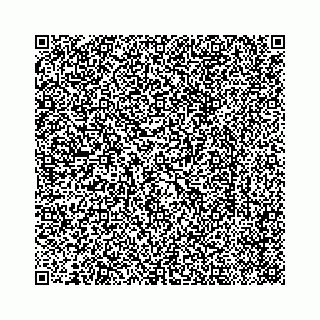 vCard 78162774737